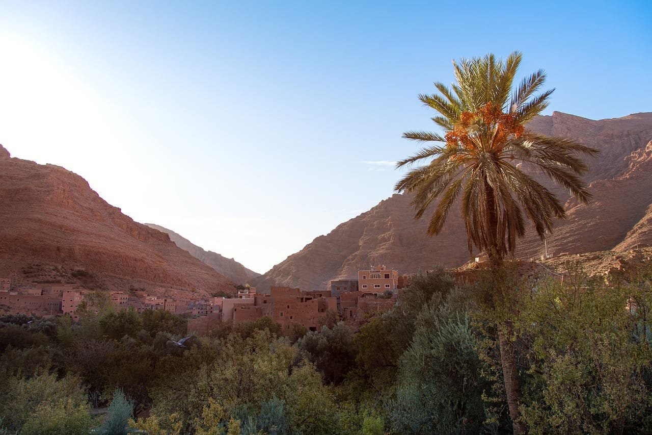 morocco, africa, tinghir, todra, canyon, nature, landscape, palma, trees, arab, travels, tourism, marroc, tinghir, tinghir, tinghir, tinghir, tinghir, todra
