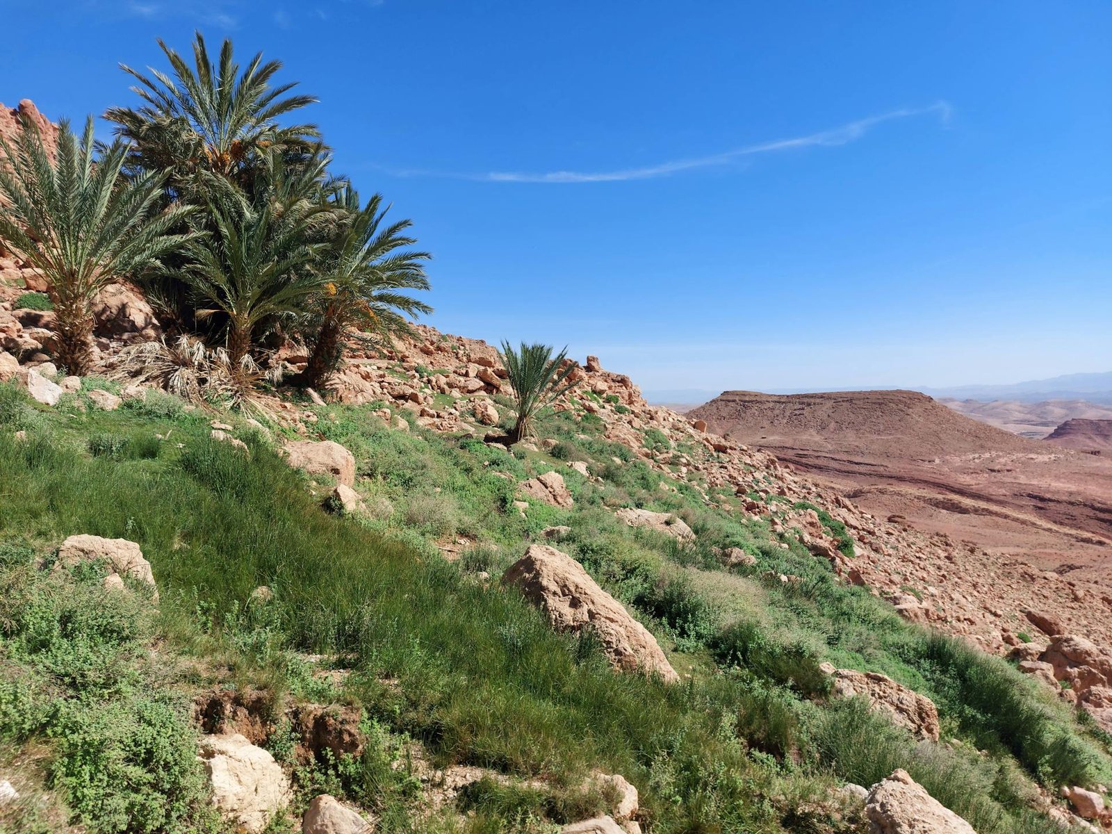tinghir-to-todra-gorge