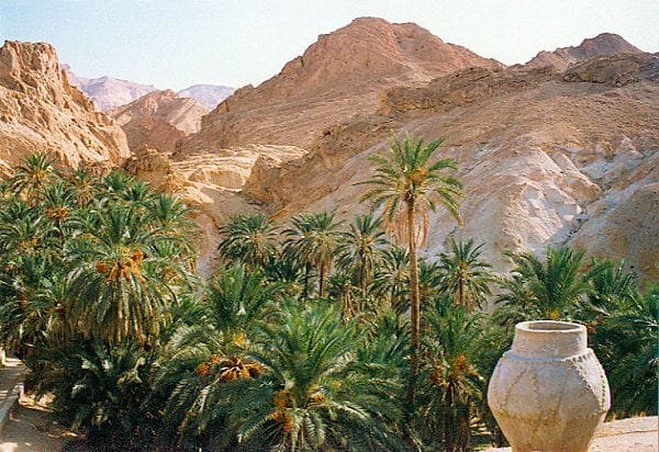 todra-gorge-view-from-marrakech