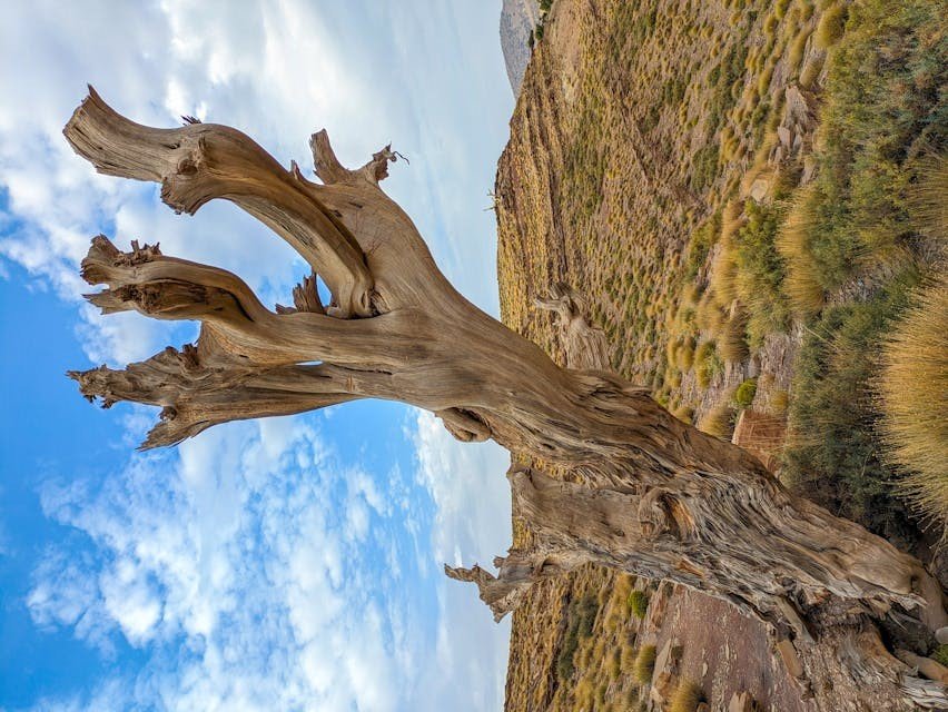 Discovering-the-Real-Altitude-of-Todra-Gorge-Morocco-todragorge.com