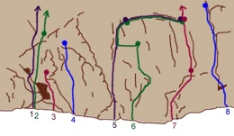 topo-mini-Meuk-droite-todragorge.com